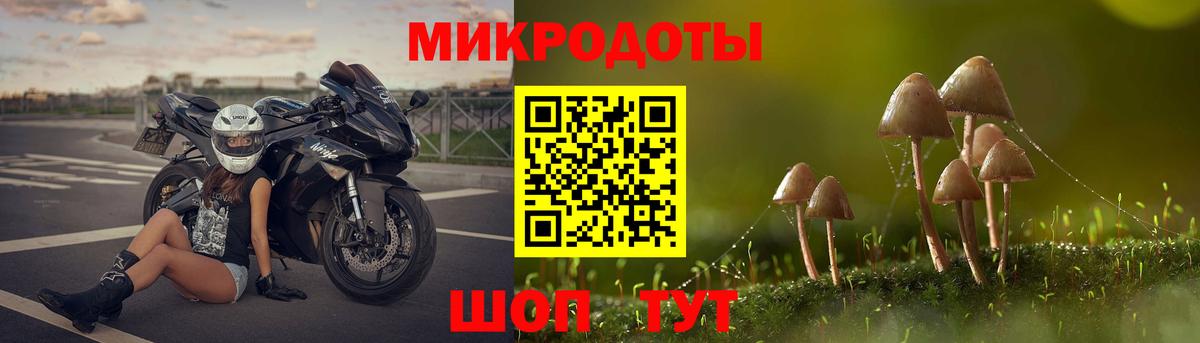 Псилоцибиновые грибы прущие грибы Елизово
